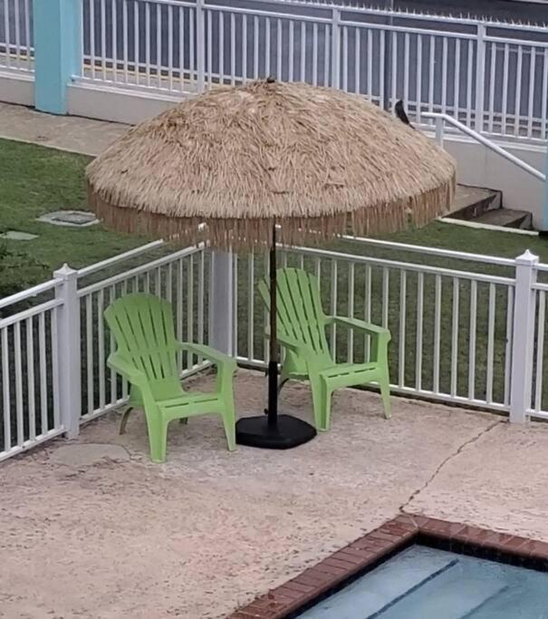 Summer All Year! Oceanfront With Pool A/C อกวาดิยา ภายนอก รูปภาพ